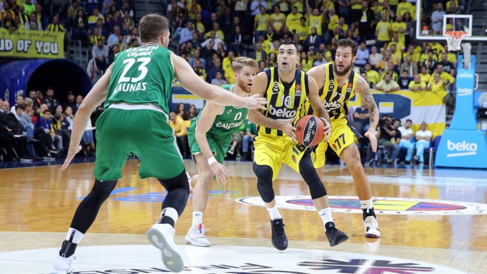 maccabi