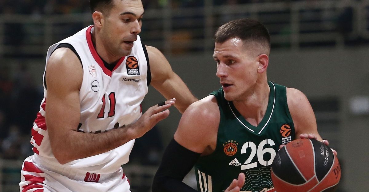 sloukas nedovic