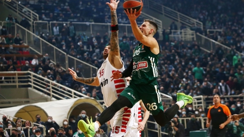 nedovic 8