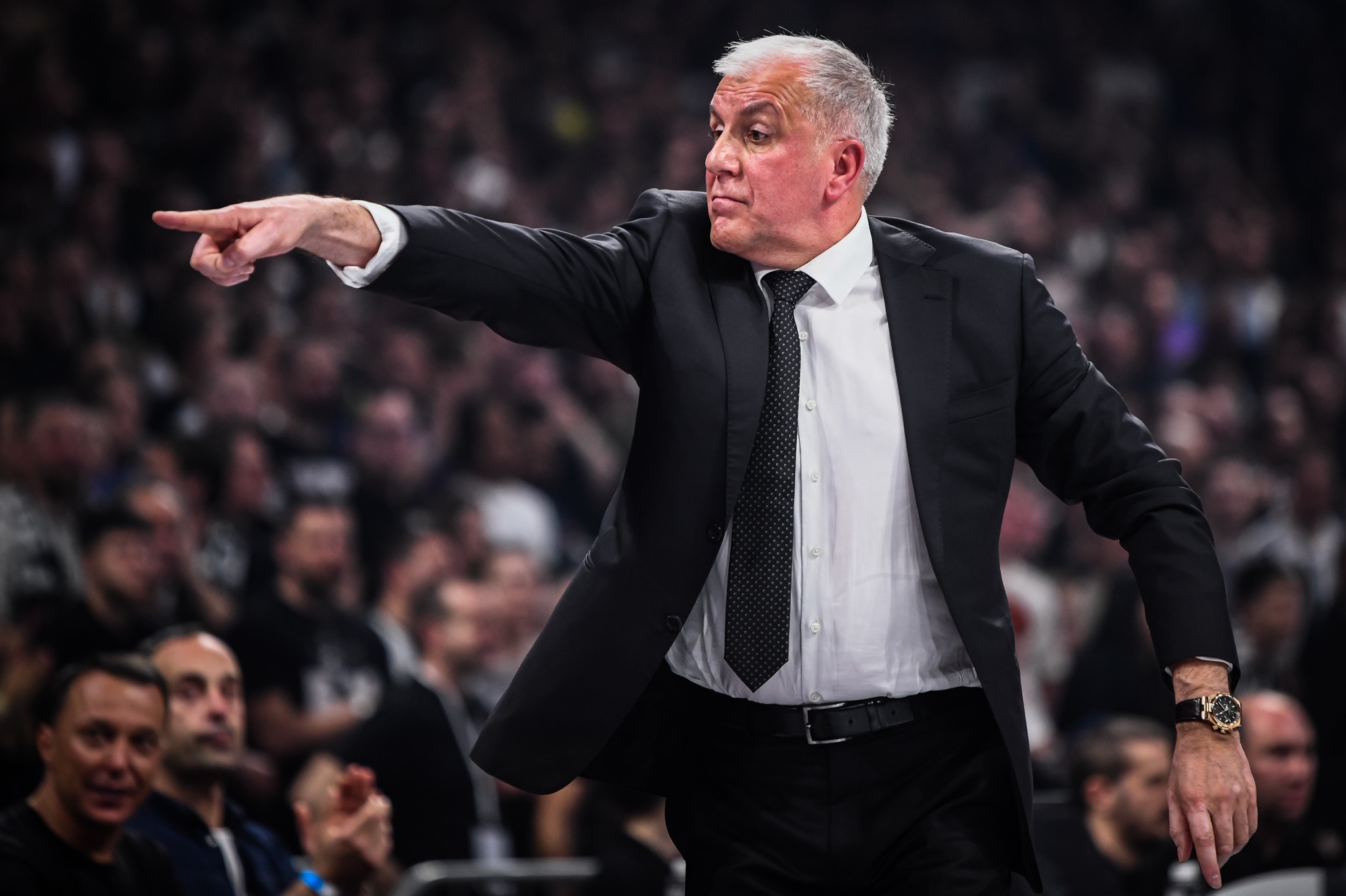 Zeljko obradovic partizan