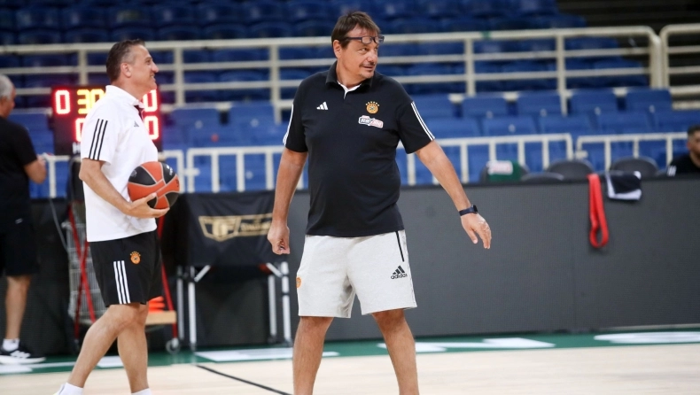 ataman 1000