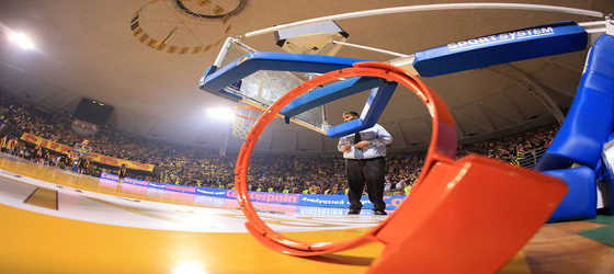 basket2