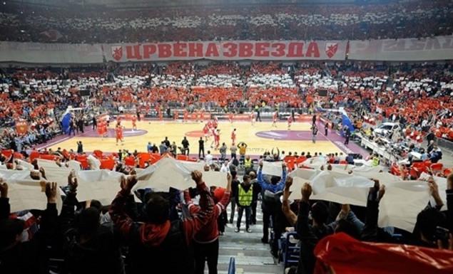 crvena zvezda fans