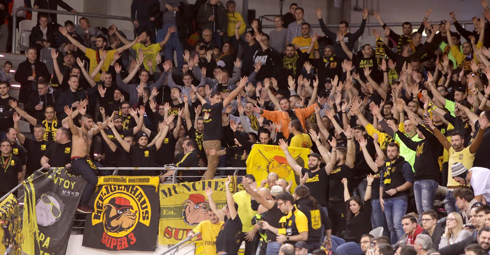 fans aris