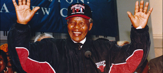 mandela bulls
