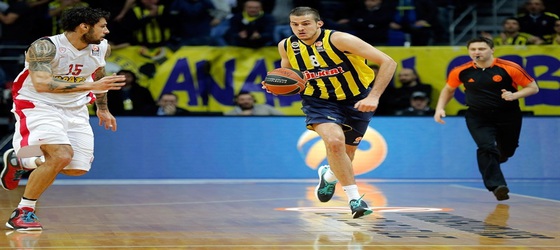 bjelica