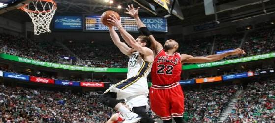 jazz-bulls